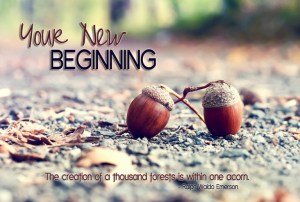 yournewbeginning